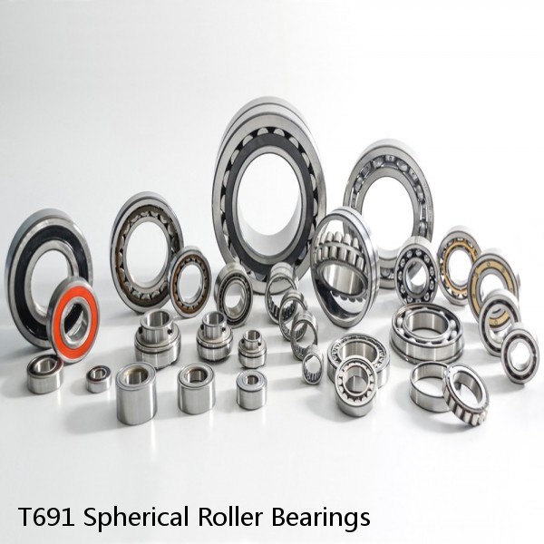 T691 Spherical Roller Bearings