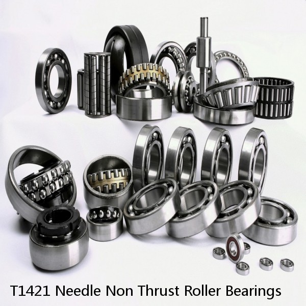 T1421 Needle Non Thrust Roller Bearings