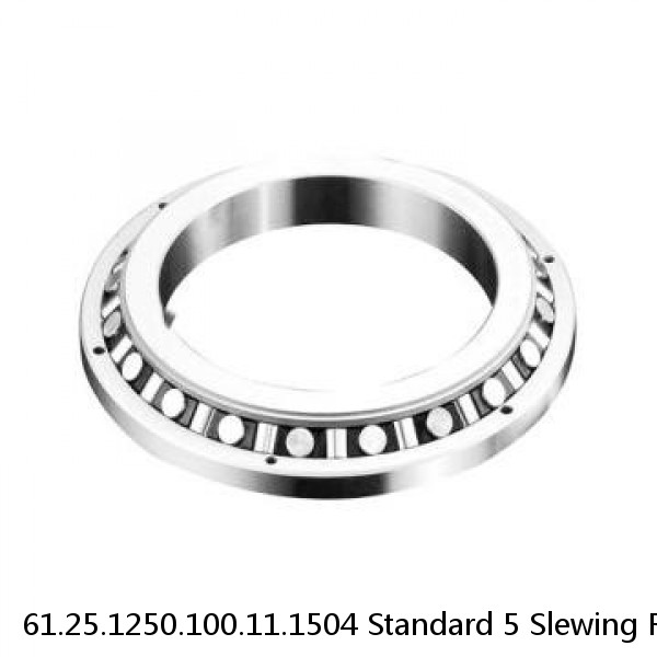 61.25.1250.100.11.1504 Standard 5 Slewing Ring Bearings