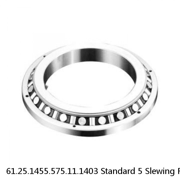 61.25.1455.575.11.1403 Standard 5 Slewing Ring Bearings