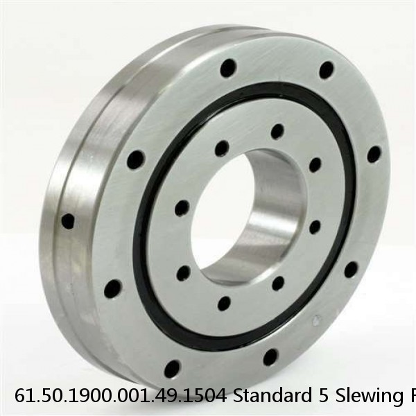 61.50.1900.001.49.1504 Standard 5 Slewing Ring Bearings