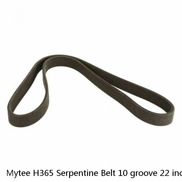 Mytee H365 Serpentine Belt 10 groove 22 inches PolyV Belts 220-J-10 Jianli 220J 