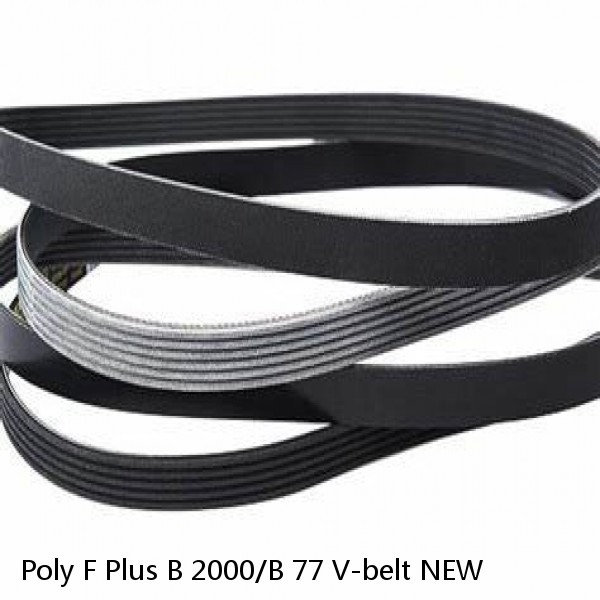 Poly F Plus B 2000/B 77 V-belt NEW