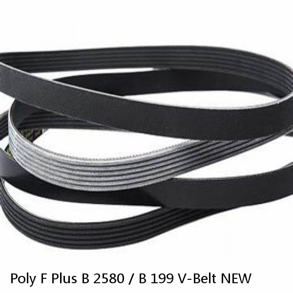 Poly F Plus B 2580 / B 199 V-Belt NEW