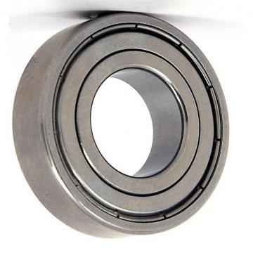 High Speed Electr Motor Bearing 6203 Rzhybrid Ceram Bearing 6204 6206 TM6204 22 6207zz 62200 6205hc 6211 6201 6232 626 6300 6301 6303 6305 6302