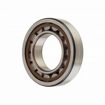 SKF Cylindrical Roller Bearing Nup202/203/204/205/206/207/208/209/210/211/212/213/214/215