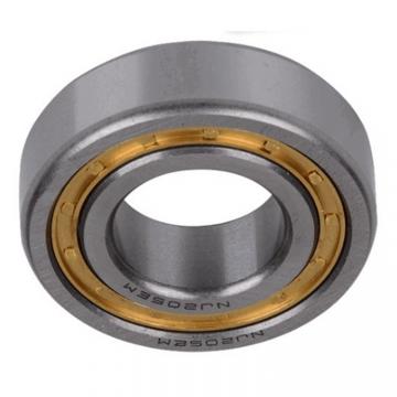 China Cylindrical Roller Bearings N1020k Nn3020k