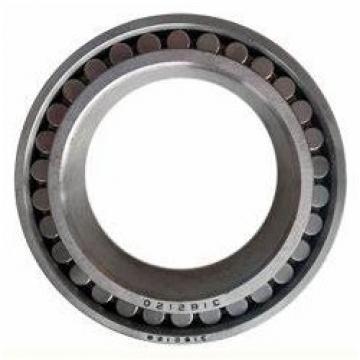 Cylindrical Roller Bearings Nn3020K with P5 Grade