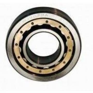 Factory SKF Cylindrical Roller Bearing Cheap Bearing Nn3020K