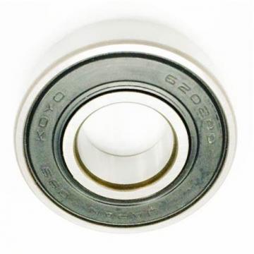 Deep Groove Ball Bearing 6300zz (SKF NACHI, Timken, NSK, NTN, KOYO, IKO 6000 6001 6002 6003 6004 6005 6006 6007 6200 6201 6202 6203 6204 6205 6301 6302 ZZ 2RS)