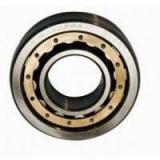 NTN NN3020K Single Row Cylindrical Roller Bearing