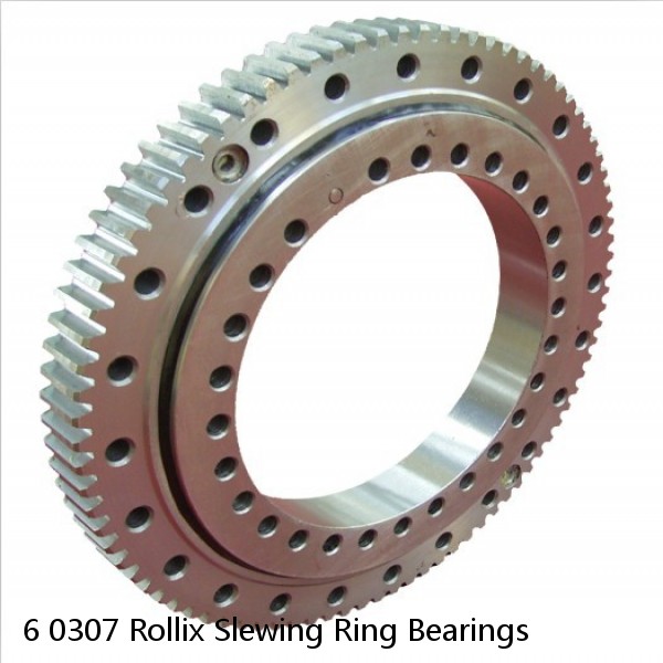 6 0307 Rollix Slewing Ring Bearings #1 small image