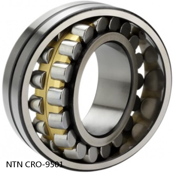 CRO-9501 NTN Cylindrical Roller Bearing #1 small image