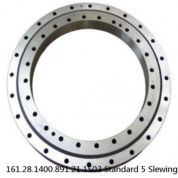 161.28.1400.891.21.1503 Standard 5 Slewing Ring Bearings #1 small image