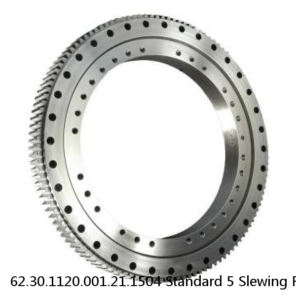 62.30.1120.001.21.1504 Standard 5 Slewing Ring Bearings #1 small image