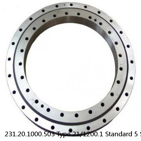 231.20.1000.503 Type 21/1200.1 Standard 5 Slewing Ring Bearings #1 small image