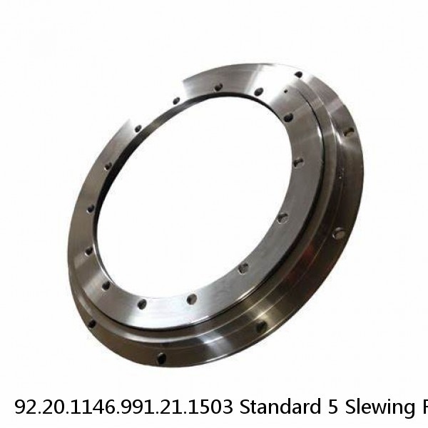 92.20.1146.991.21.1503 Standard 5 Slewing Ring Bearings #1 small image