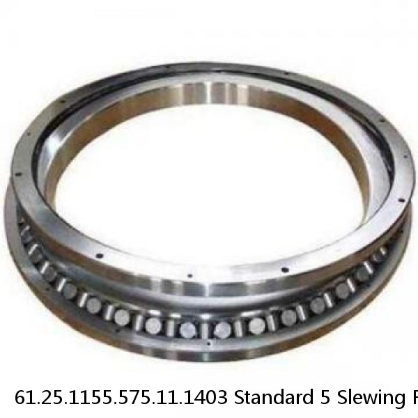 61.25.1155.575.11.1403 Standard 5 Slewing Ring Bearings #1 small image