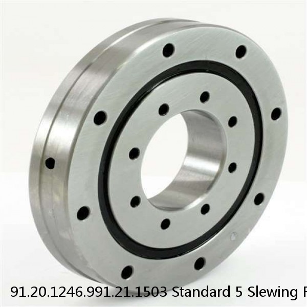 91.20.1246.991.21.1503 Standard 5 Slewing Ring Bearings #1 small image