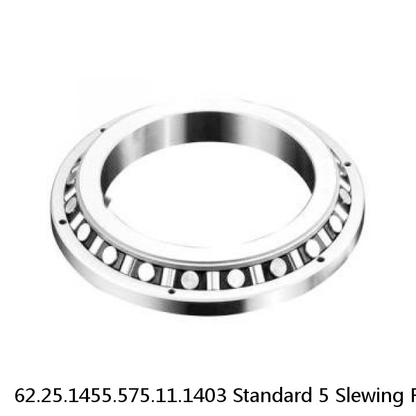 62.25.1455.575.11.1403 Standard 5 Slewing Ring Bearings #1 small image