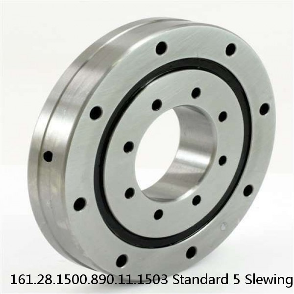 161.28.1500.890.11.1503 Standard 5 Slewing Ring Bearings #1 small image