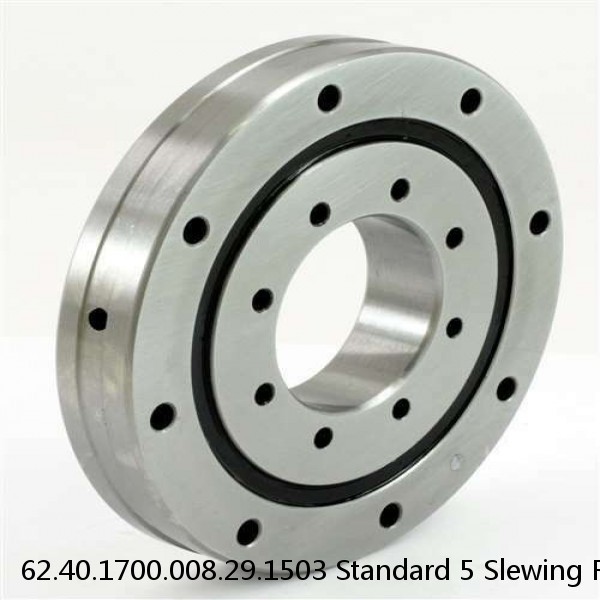 62.40.1700.008.29.1503 Standard 5 Slewing Ring Bearings #1 small image