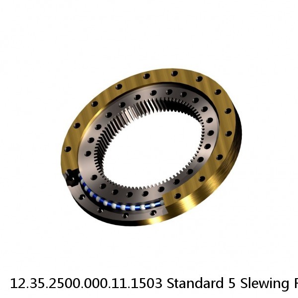 12.35.2500.000.11.1503 Standard 5 Slewing Ring Bearings #1 small image