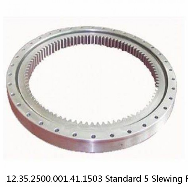 12.35.2500.001.41.1503 Standard 5 Slewing Ring Bearings #1 small image