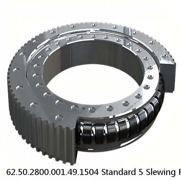 62.50.2800.001.49.1504 Standard 5 Slewing Ring Bearings #1 small image