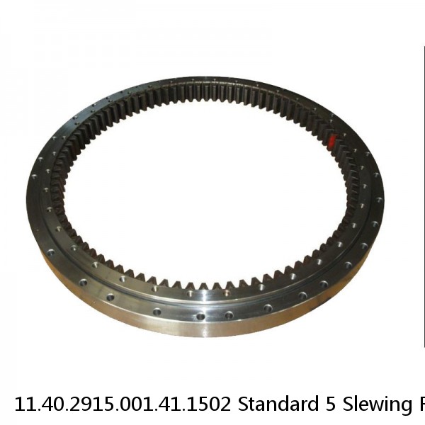 11.40.2915.001.41.1502 Standard 5 Slewing Ring Bearings #1 small image