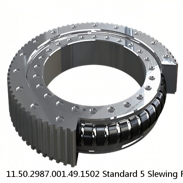 11.50.2987.001.49.1502 Standard 5 Slewing Ring Bearings #1 small image