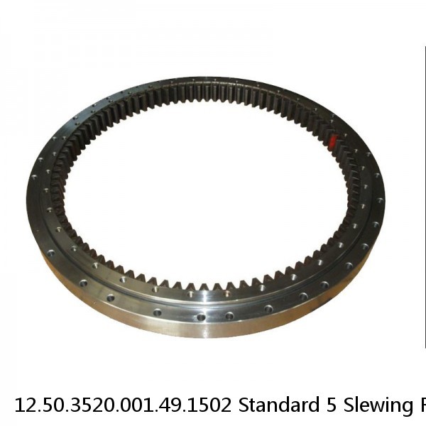 12.50.3520.001.49.1502 Standard 5 Slewing Ring Bearings #1 small image