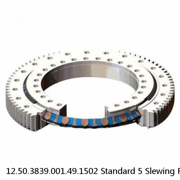 12.50.3839.001.49.1502 Standard 5 Slewing Ring Bearings #1 small image