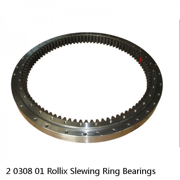 2 0308 01 Rollix Slewing Ring Bearings #1 small image