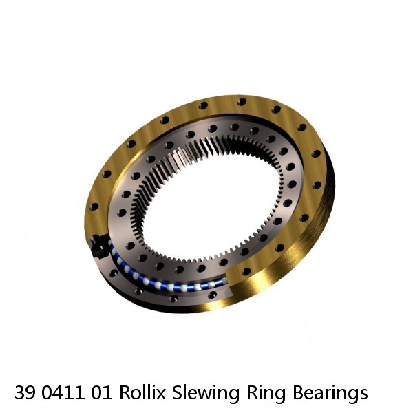 39 0411 01 Rollix Slewing Ring Bearings #1 small image