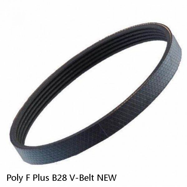Poly F Plus B28 V-Belt NEW #1 small image
