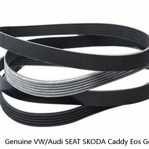 Genuine VW/Audi SEAT SKODA Caddy Eos Golf R32 Poly-V-Belt 06F903137E #1 small image