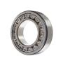 Hot Sales Precision Quality Cylindrical Roller Bearing (NF205)