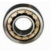 Double Row Cylindrical Roller Machine Tool Bearings Nn3017K Nn3018K Nn3019K Nn3020K Nn3021K Nn3022K Nn3024K Nn3026K Nn3028K #1 small image