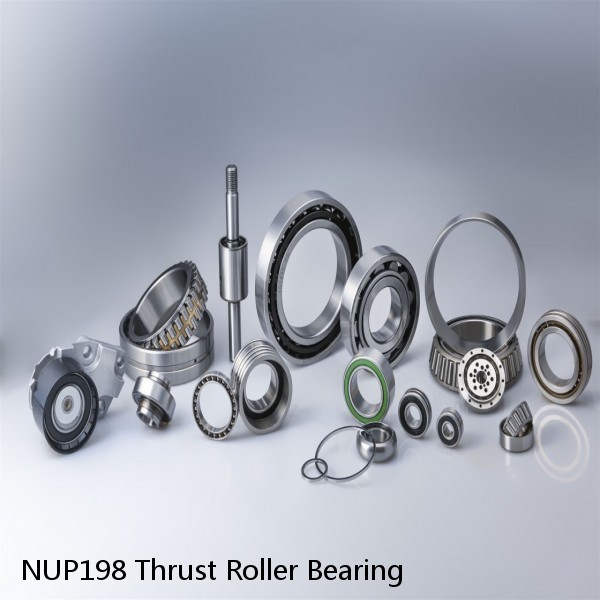 NUP198 Thrust Roller Bearing #1 image