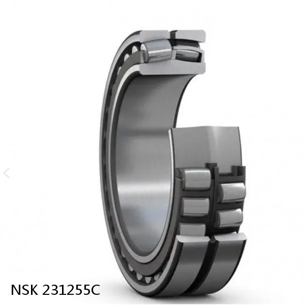 231255C NSK Railway Rolling Spherical Roller Bearings #1 image