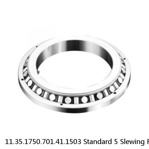 11.35.1750.701.41.1503 Standard 5 Slewing Ring Bearings #1 image