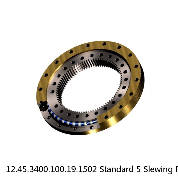 12.45.3400.100.19.1502 Standard 5 Slewing Ring Bearings #1 image