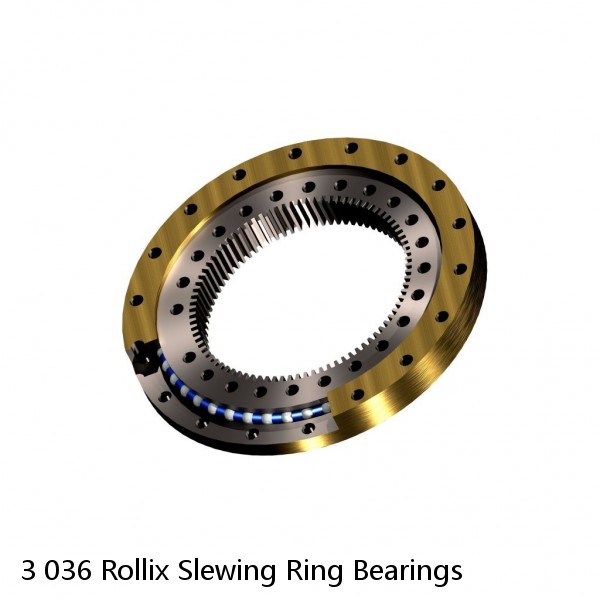 3 036 Rollix Slewing Ring Bearings #1 image