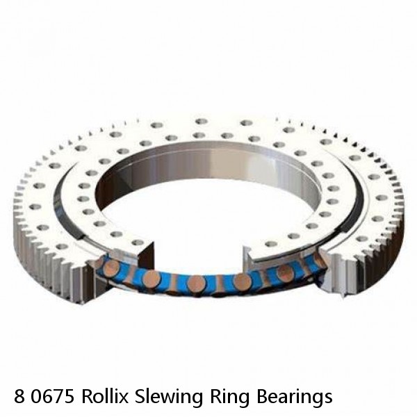 8 0675 Rollix Slewing Ring Bearings #1 image