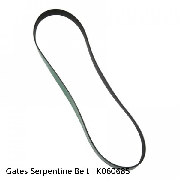 Gates Serpentine Belt   K060685 #1 image