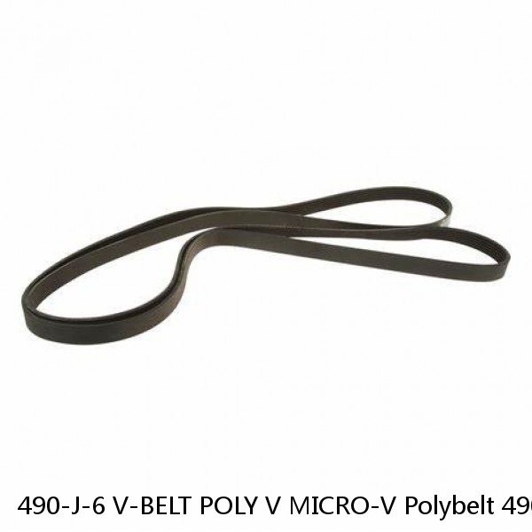 490-J-6 V-BELT POLY V MICRO-V Polybelt 490J6 PolyV Rubber Belt #1 image