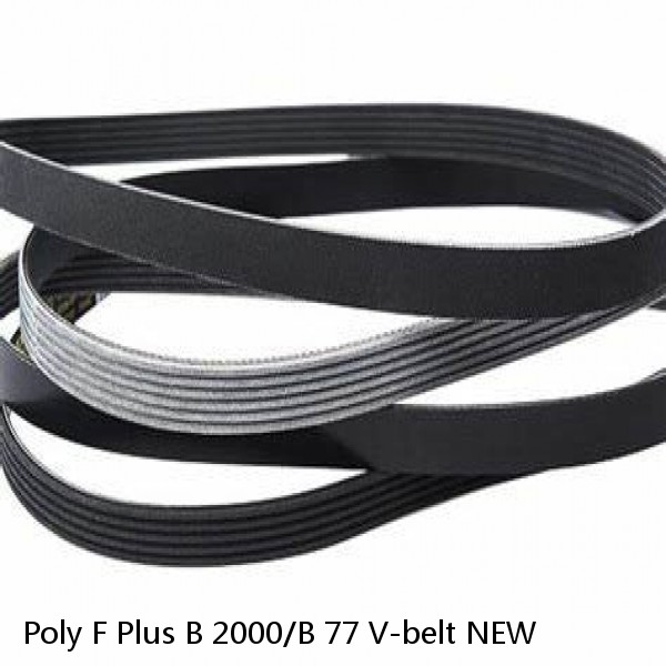 Poly F Plus B 2000/B 77 V-belt NEW #1 image