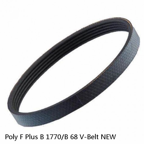 Poly F Plus B 1770/B 68 V-Belt NEW #1 image