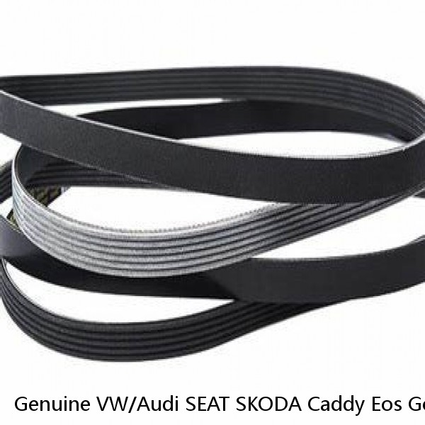 Genuine VW/Audi SEAT SKODA Caddy Eos Golf R32 Poly-V-Belt 06F903137E #1 image